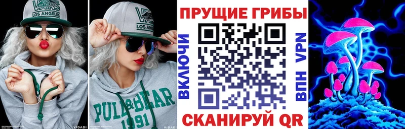 Галлюциногенные грибы Psilocybine cubensis KRAKEN ССЫЛКА Усть-Кут